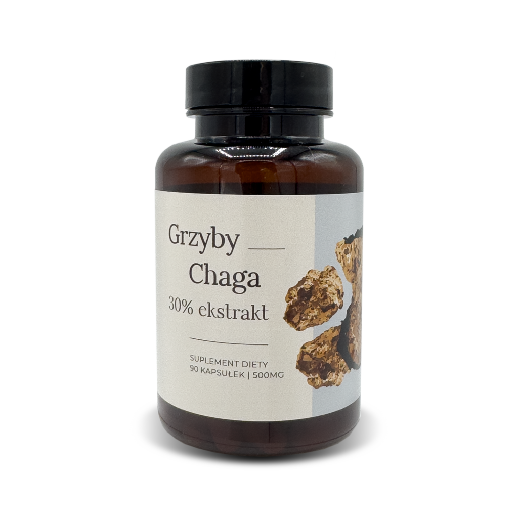 Chaga 90 kaps. 500 mg